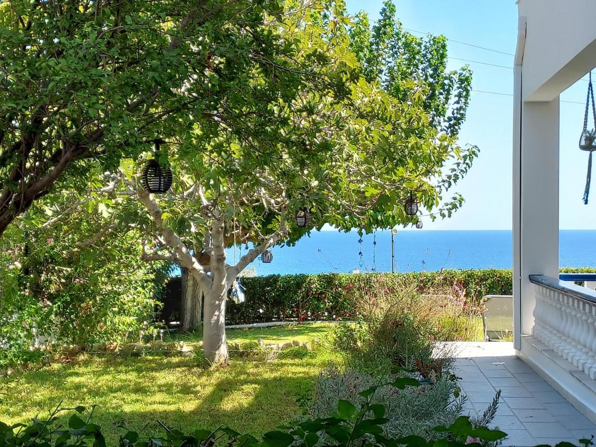 Villa Stegna Archangelos  Eksteriør bilde